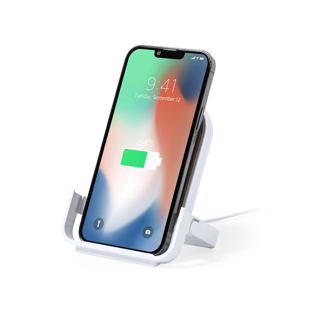 Charger Buisson