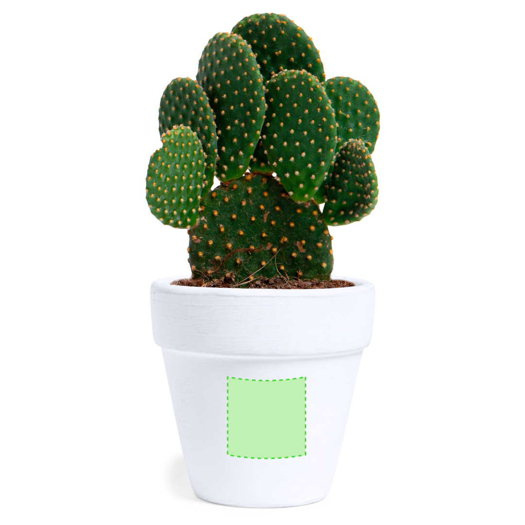 Flowerpot Konte