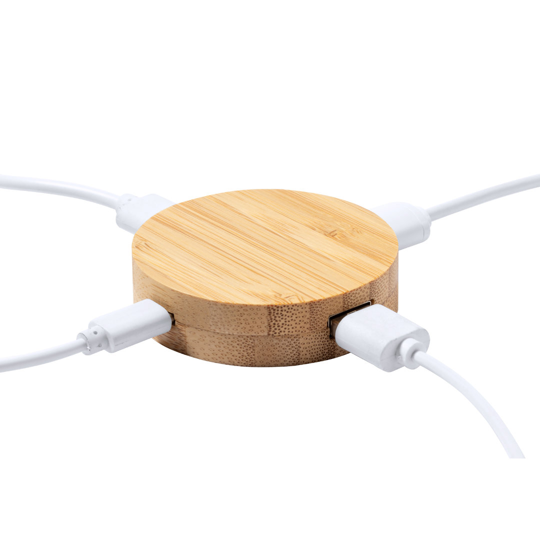 USB Hub Lasiar