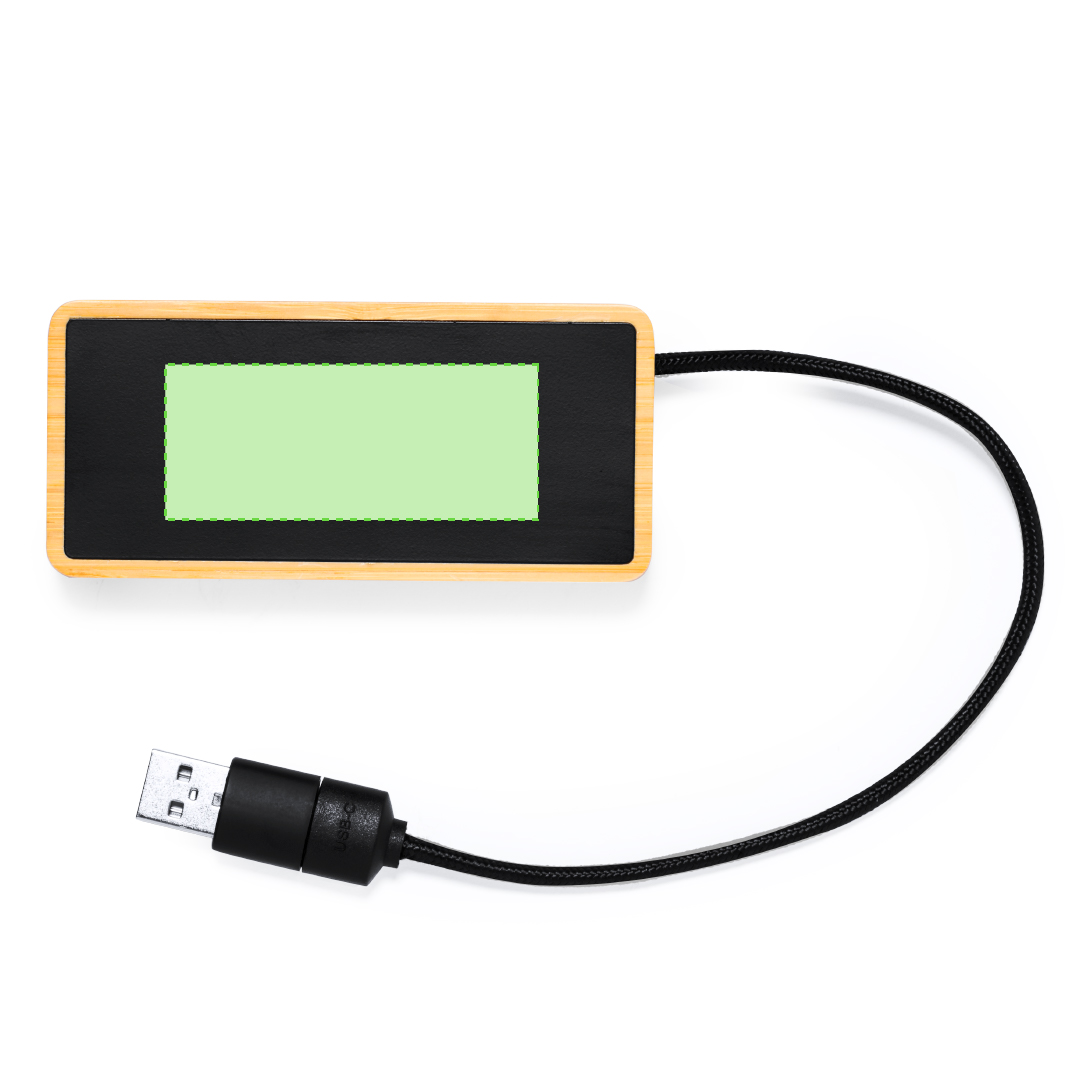 USB Hub Ginger