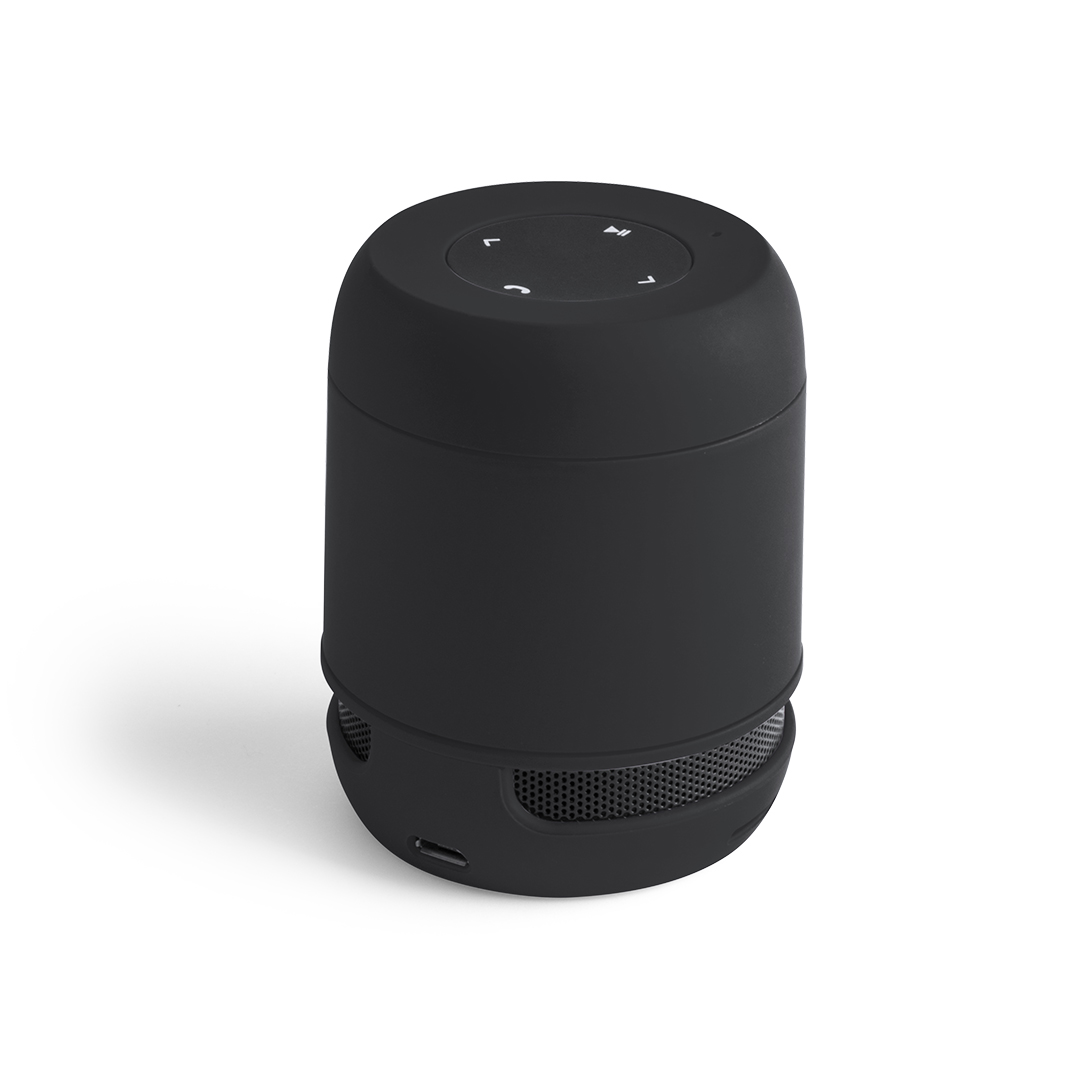 Speaker Braiss