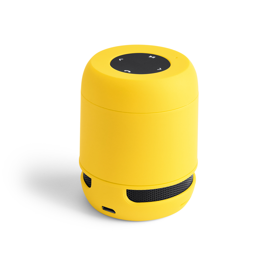 Speaker Braiss