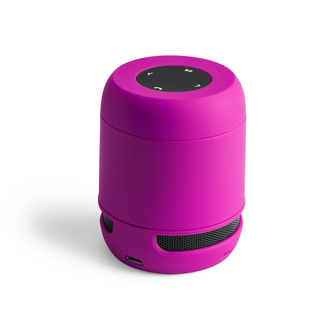 Speaker Braiss