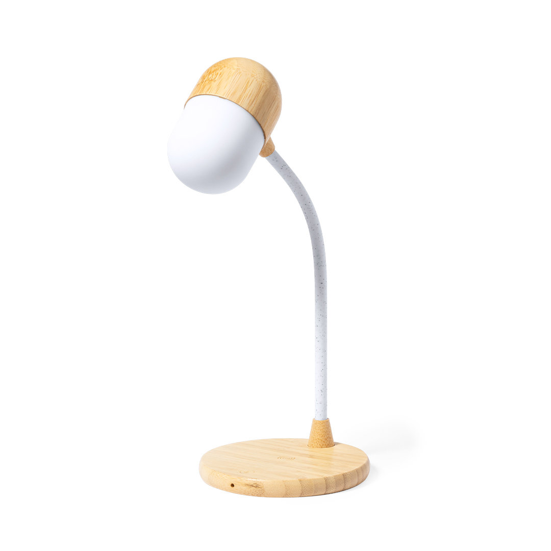 Multifunction Lamp Lars