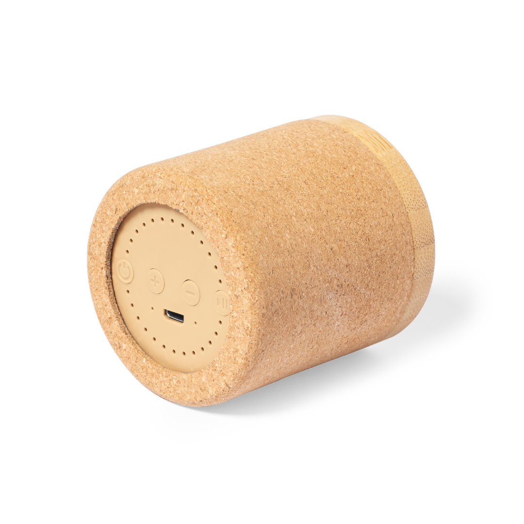 Speaker Mirintex