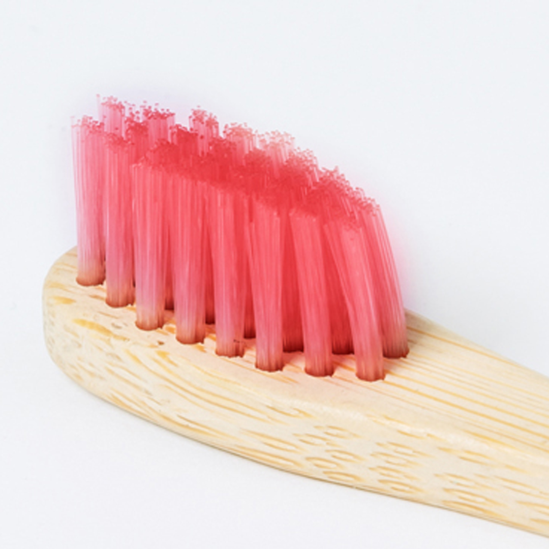 Toothbrush Becu