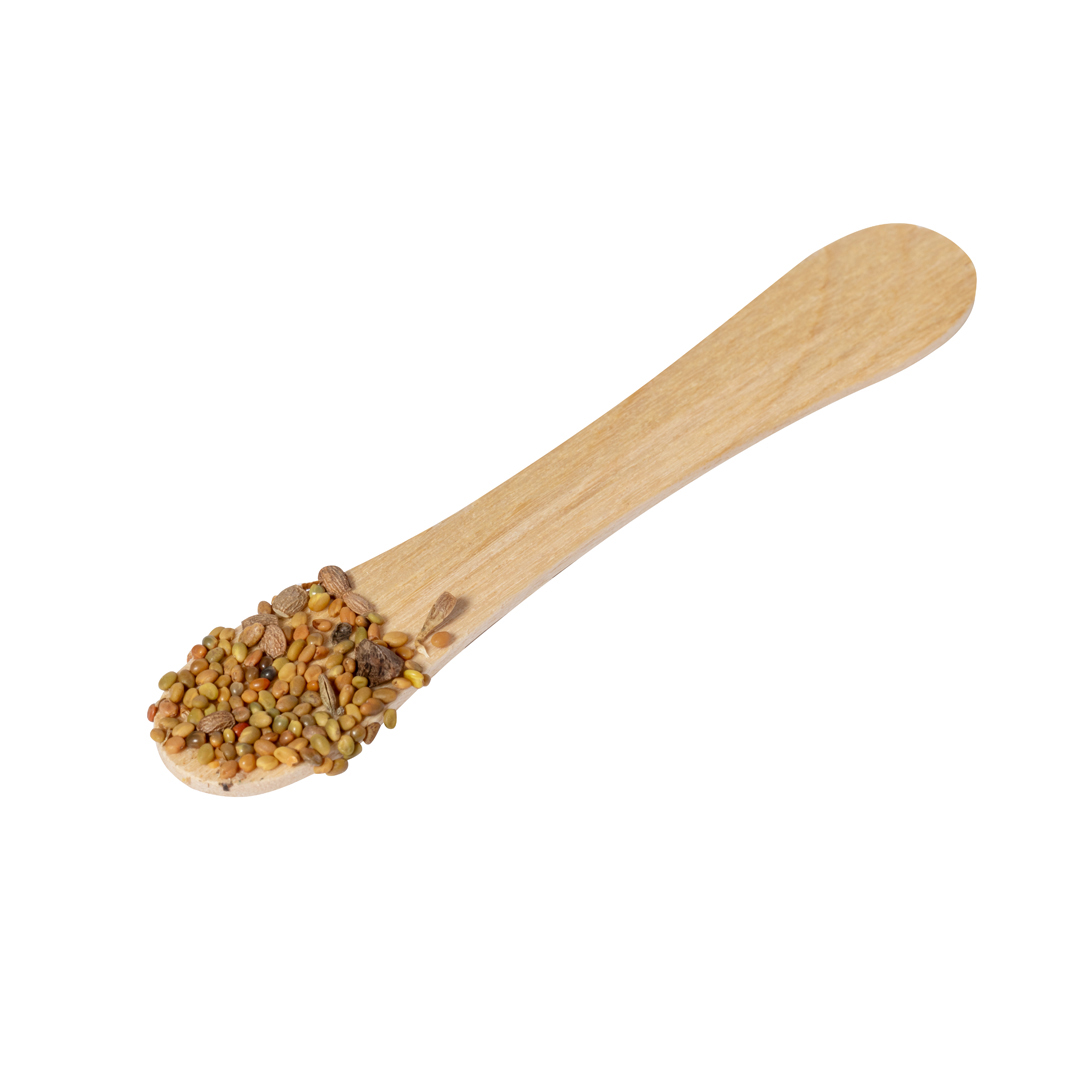 Seed Stick Hati