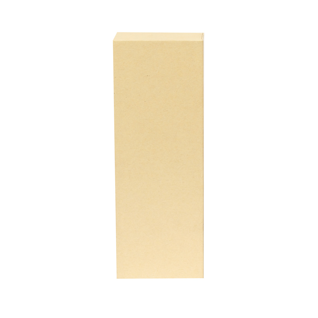 Presenter Laser Pointer Lesi