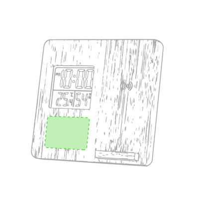 Fiory Weather Station Charger