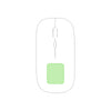 Chestir RCS Mouse