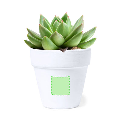 Konte Flowerpot