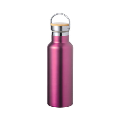 Naxel Insulated Bottle