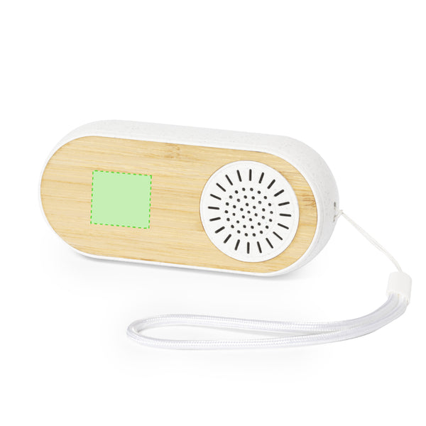 Gissel Speakers Earphones