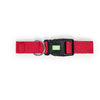 Mastif Pet Collar