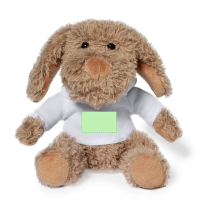 Chamox Teddy