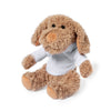 Chamox Teddy