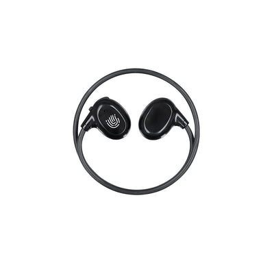 Pulsex Earphones