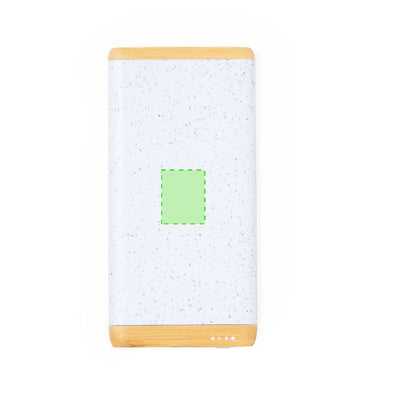 Coquin Power Bank