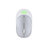 Doryt RCS Mouse