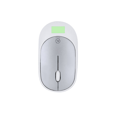 Doryt RCS Mouse