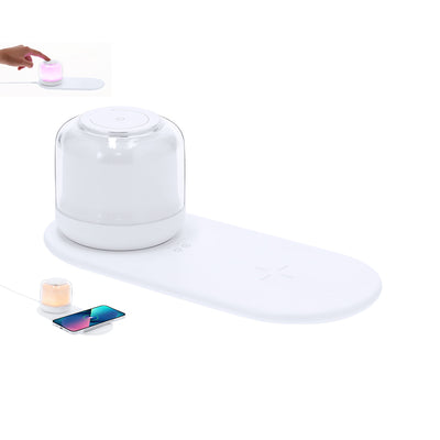 Reginal Charger Lamp