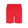 Rudig Shorts