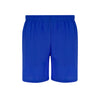 Rudig Shorts