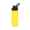 Felmar Insulated Bottle