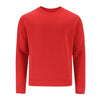Adult Sweatshirt