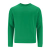 Adult Sweatshirt