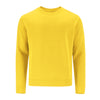 Adult Sweatshirt