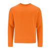 Adult Sweatshirt