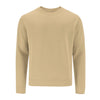 Adult Sweatshirt