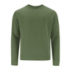 Adult Sweatshirt