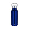 Insulated Bottle