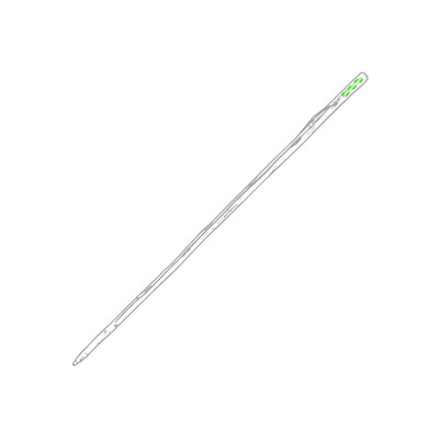 Tamdar Walking Pole