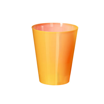 Colorbert Cup