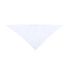 Plus Neckerchief