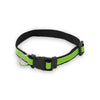 Muttley Pet Collar