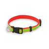 Muttley Pet Collar