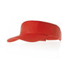 Tiger Sun Visor