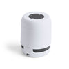 Braiss Speaker