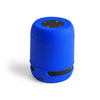 Braiss Speaker