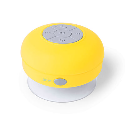 Rariax Speaker