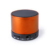 Martins Speaker