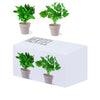 Nertel Flowerpot Set