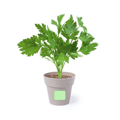 Nertel Flowerpot Set