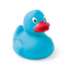 Koldy Duck