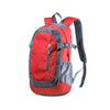 Densul Backpack