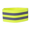 Picton Reflective Armband